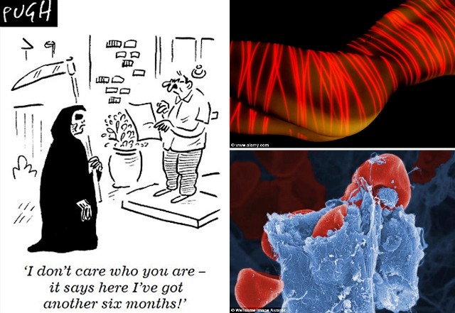 Kapan Anda Meninggal Dunia? Tes Laser Uji Waktunya Ajal Tiba